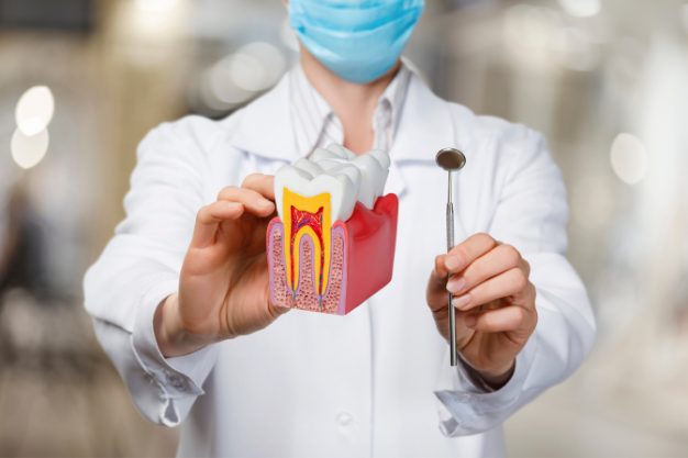 endodonti-kanal-tedavisi-2.png